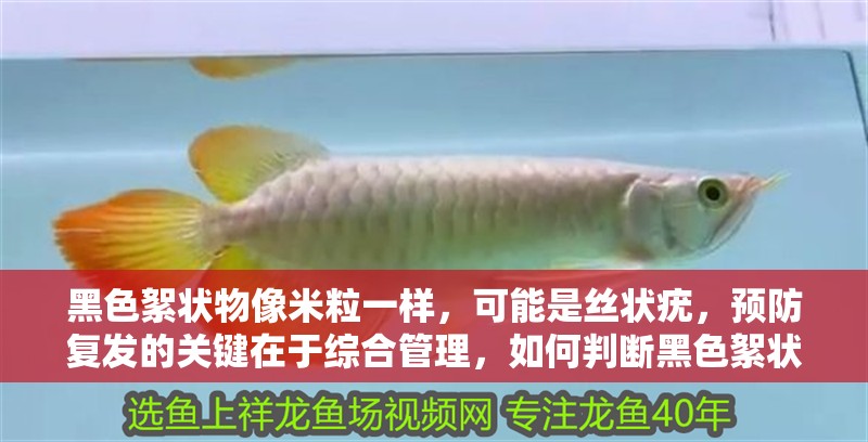 黑色絮狀物像米粒一樣，可能是絲狀疣，預防復發的關鍵在于綜合管理，如何判斷黑色絮狀物是否復發