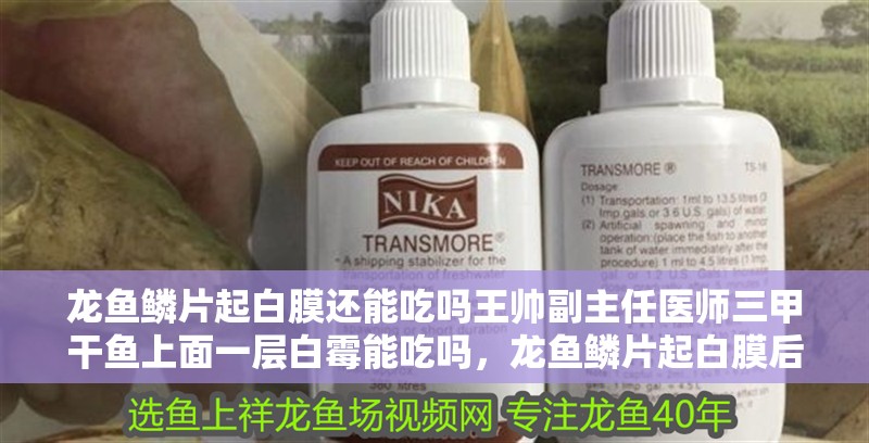 龍魚鱗片起白膜還能吃嗎王帥副主任醫師三甲干魚上面一層白霉能吃嗎，龍魚鱗片起白膜后如何處理