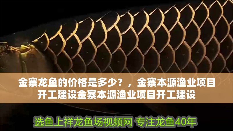 金寨龍魚的價格是多少？，金寨本源漁業項目開工建設金寨本源漁業項目開工建設