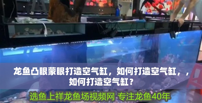 龍魚凸眼蒙眼打造空氣缸，如何打造空氣缸，，如何打造空氣缸？