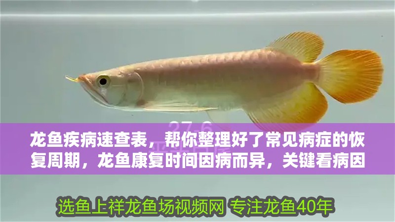 龍魚疾病速查表，幫你整理好了常見病癥的恢復周期，龍魚康復時間因病而異，關鍵看病因和治療是否及時恢復