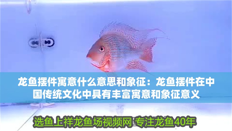 龍魚擺件寓意什么意思和象征：龍魚擺件在中國傳統文化中具有豐富寓意和象征意義
