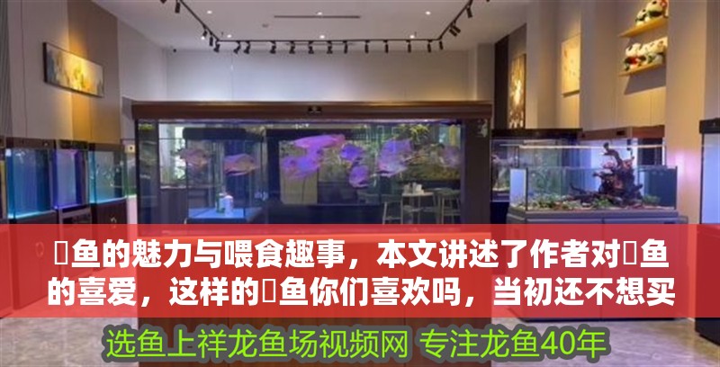 魟魚的魅力與喂食趣事，本文講述了作者對魟魚的喜愛，這樣的魟魚你們喜歡嗎，當初還不想買