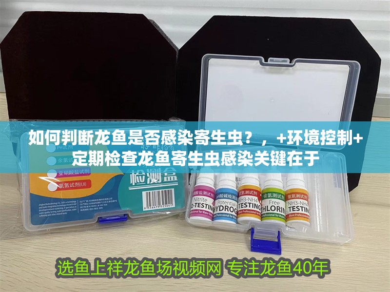 如何判斷龍魚是否感染寄生蟲？，+環境控制+定期檢查龍魚寄生蟲感染關鍵在于