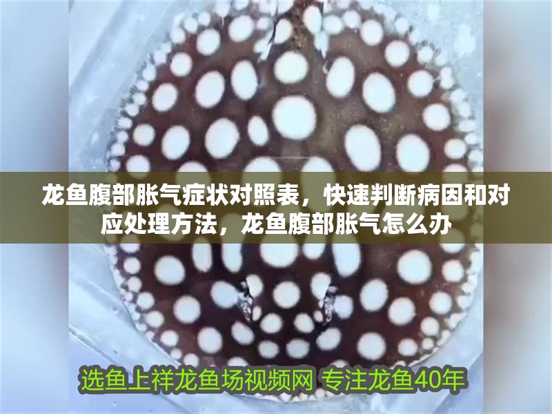 龍魚腹部脹氣癥狀對照表，快速判斷病因和對應處理方法，龍魚腹部脹氣怎么辦