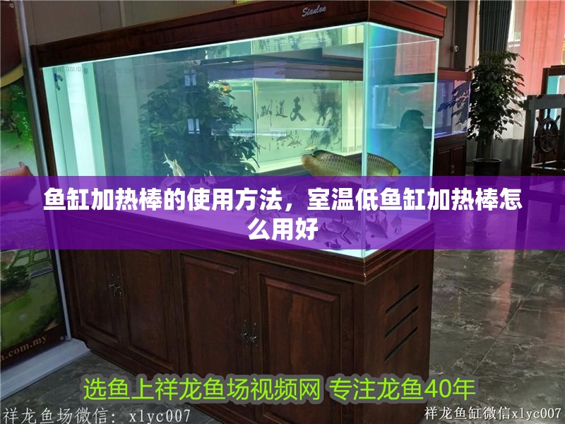 魚缸加熱棒的使用方法，室溫低魚缸加熱棒怎么用好