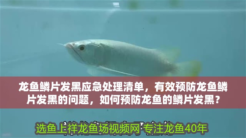 龍魚鱗片發(fā)黑應(yīng)急處理清單，有效預(yù)防龍魚鱗片發(fā)黑的問題，如何預(yù)防龍魚的鱗片發(fā)黑？
