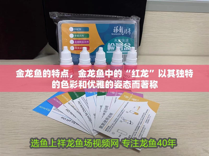 金龍魚的特點(diǎn)，金龍魚中的“紅龍”以其獨(dú)特的色彩和優(yōu)雅的姿態(tài)而著稱