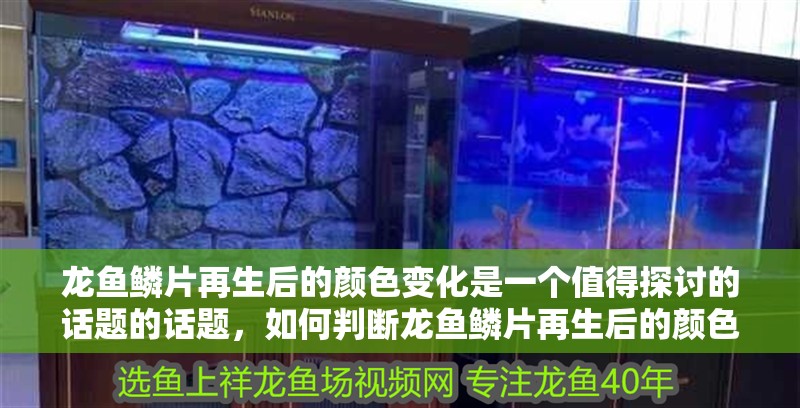 龍魚鱗片再生后的顏色變化是一個值得探討的話題的話題，如何判斷龍魚鱗片再生后的顏色變化