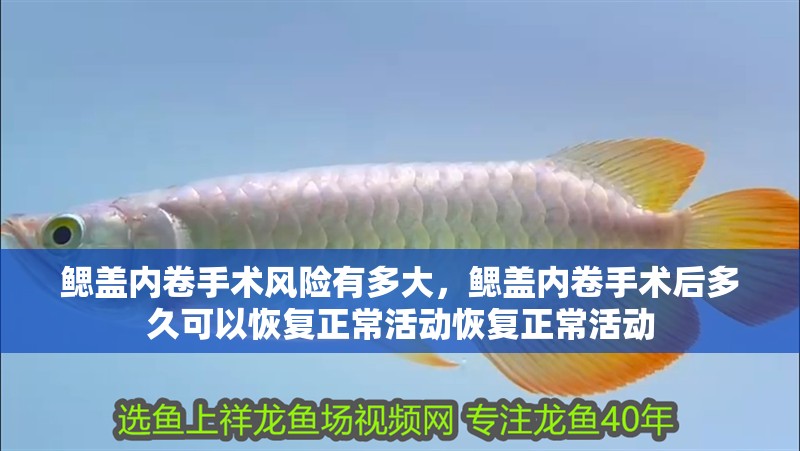 鰓蓋內卷手術風險有多大，鰓蓋內卷手術后多久可以恢復正常活動恢復正常活動