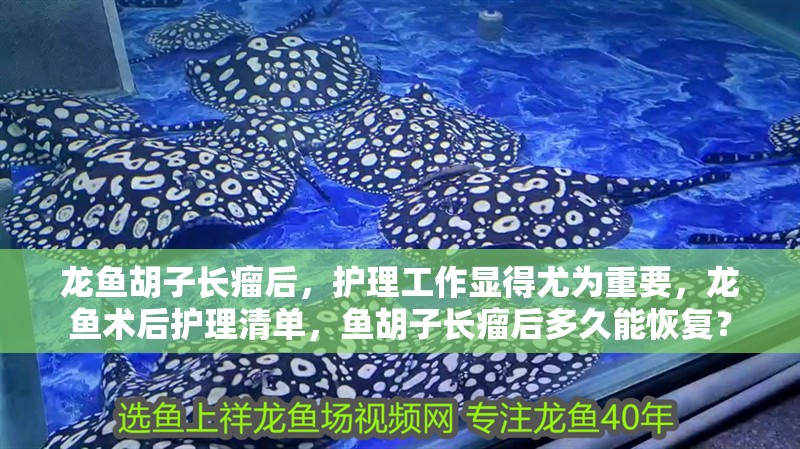 龍魚胡子長瘤后，護理工作顯得尤為重要，龍魚術后護理清單，魚胡子長瘤后多久能恢復？