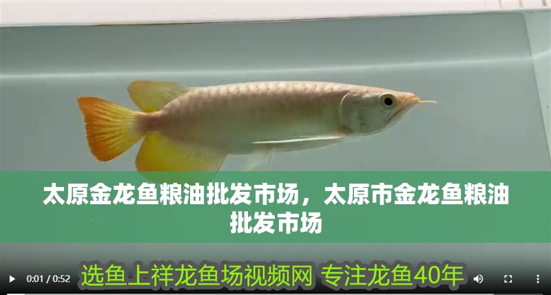 太原金龍魚糧油批發市場，太原市金龍魚糧油批發市場