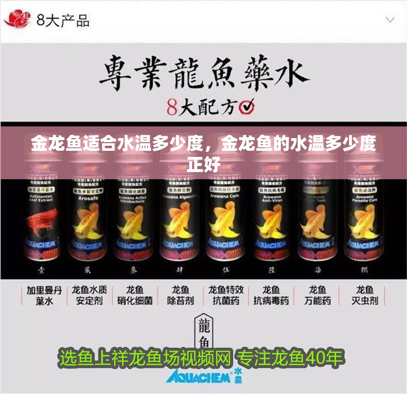 金龍魚適合水溫多少度，金龍魚的水溫多少度正好