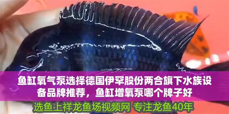 魚缸氧氣泵選擇德國伊罕股份兩合旗下水族設備品牌推薦，魚缸增氧泵哪個牌子好