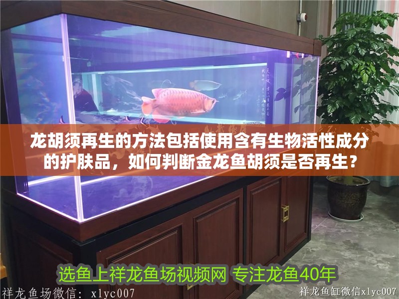 龍胡須再生的方法包括使用含有生物活性成分的護膚品，如何判斷金龍魚胡須是否再生？ 龍胡須再生的方法包括使用含有生物活性成分的護膚品，如何判斷金龍魚胡須是否再生？ 龍魚百科 第3張