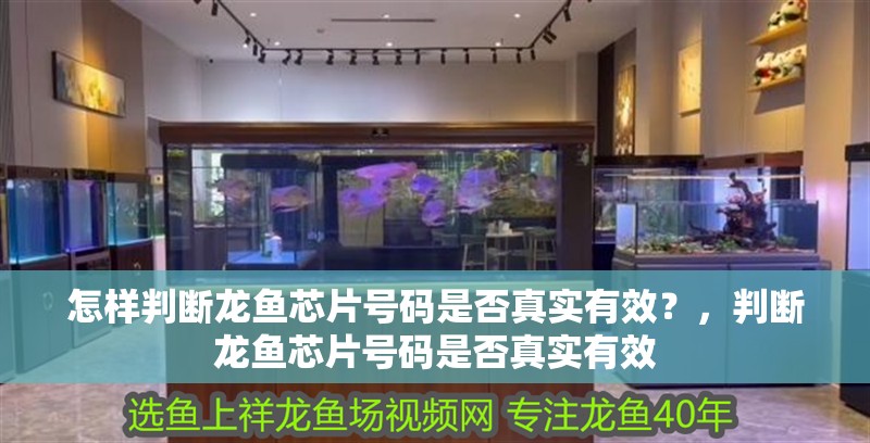 怎樣判斷龍魚芯片號碼是否真實有效？，判斷龍魚芯片號碼是否真實有效