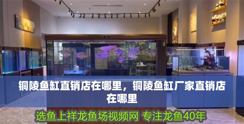 銅陵魚缸直銷店在哪里，銅陵魚缸廠家直銷店在哪里
