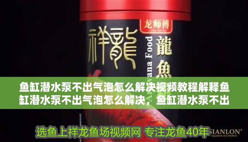 魚缸潛水泵不出氣泡怎么解決視頻教程解釋魚缸潛水泵不出氣泡怎么解決，魚缸潛水泵不出氣泡怎么辦