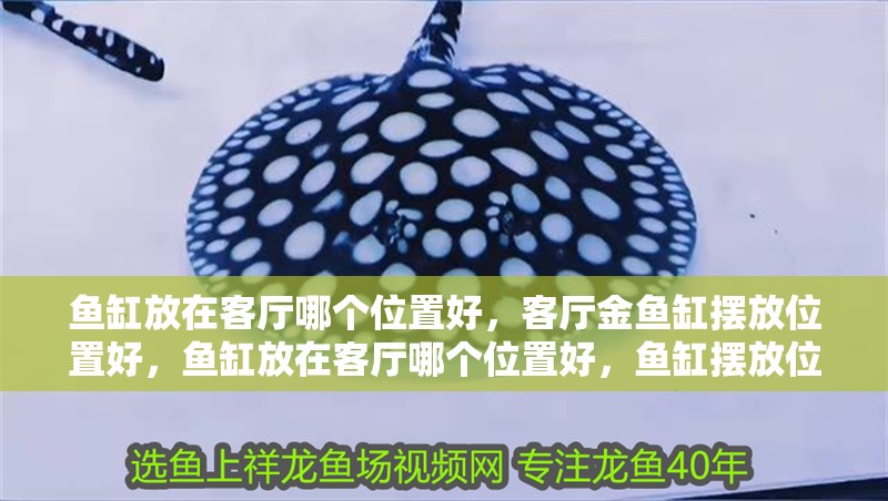 魚缸放在客廳哪個位置好，客廳金魚缸擺放位置好，魚缸放在客廳哪個位置好，魚缸擺放位置好