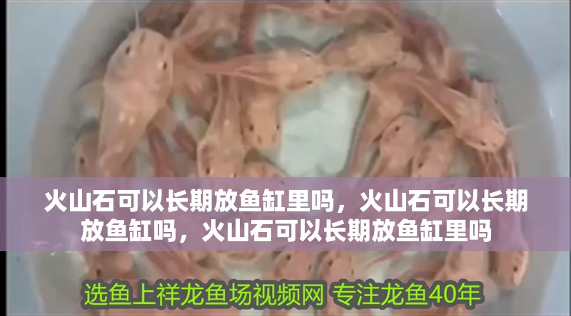火山石可以長期放魚缸里嗎，火山石可以長期放魚缸嗎，火山石可以長期放魚缸里嗎