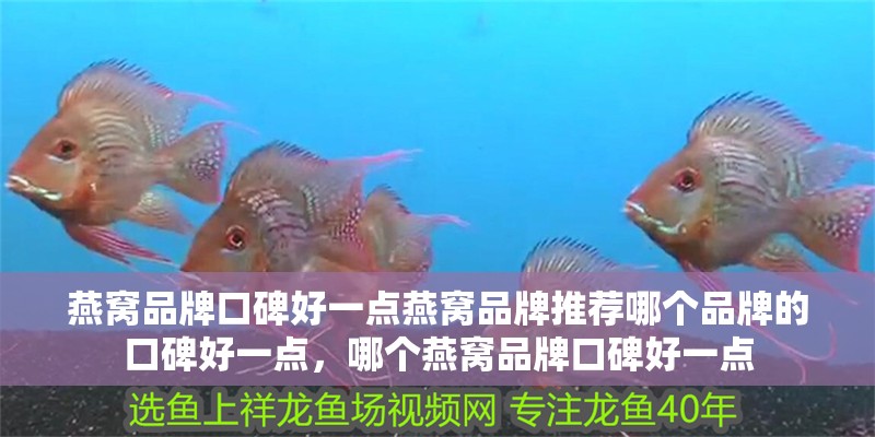 燕窩品牌口碑好一點(diǎn)燕窩品牌推薦哪個(gè)品牌的口碑好一點(diǎn)，哪個(gè)燕窩品牌口碑好一點(diǎn)