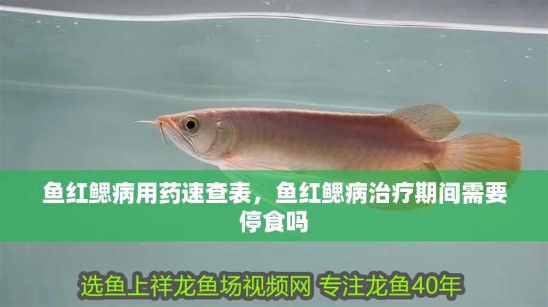 魚紅鰓病用藥速查表，魚紅鰓病治療期間需要停食嗎