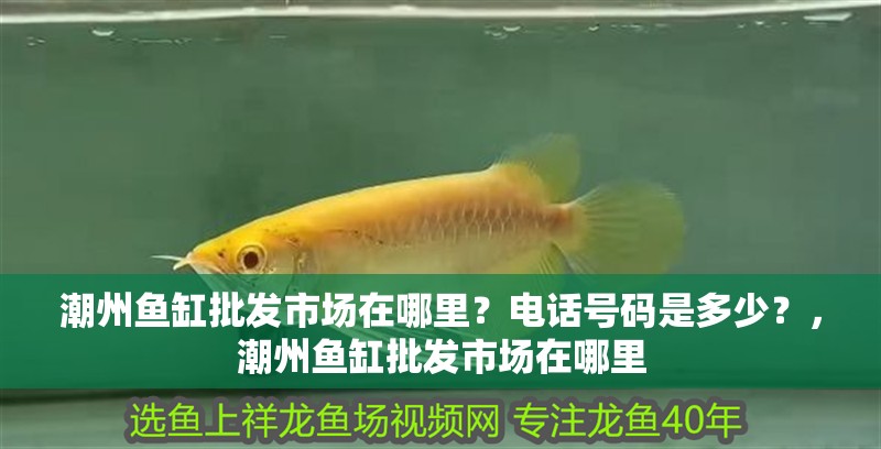 潮州魚缸批發市場在哪里？電話號碼是多少？，潮州魚缸批發市場在哪里