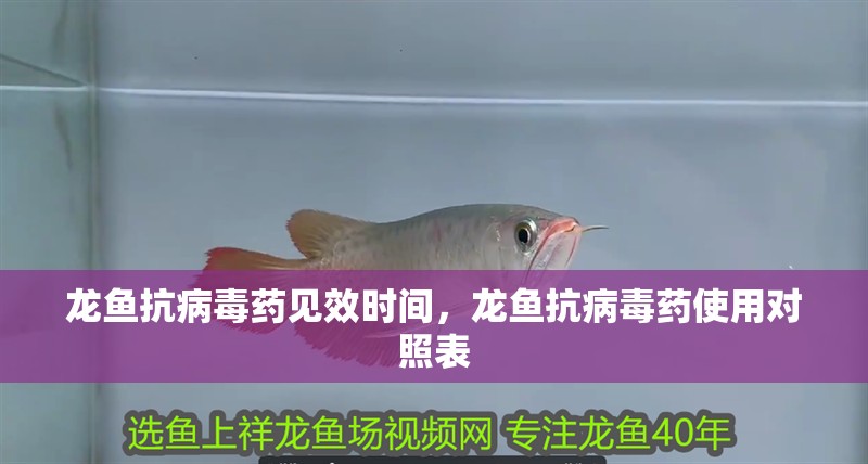 龍魚抗病毒藥見效時(shí)間，龍魚抗病毒藥使用對(duì)照表
