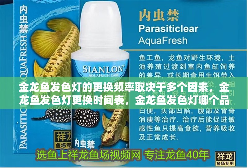 金龍魚發色燈的更換頻率取決于多個因素，金龍魚發色燈更換時間表，金龍魚發色燈哪個品牌最好，金龍魚發色燈擺放位置有何講究？