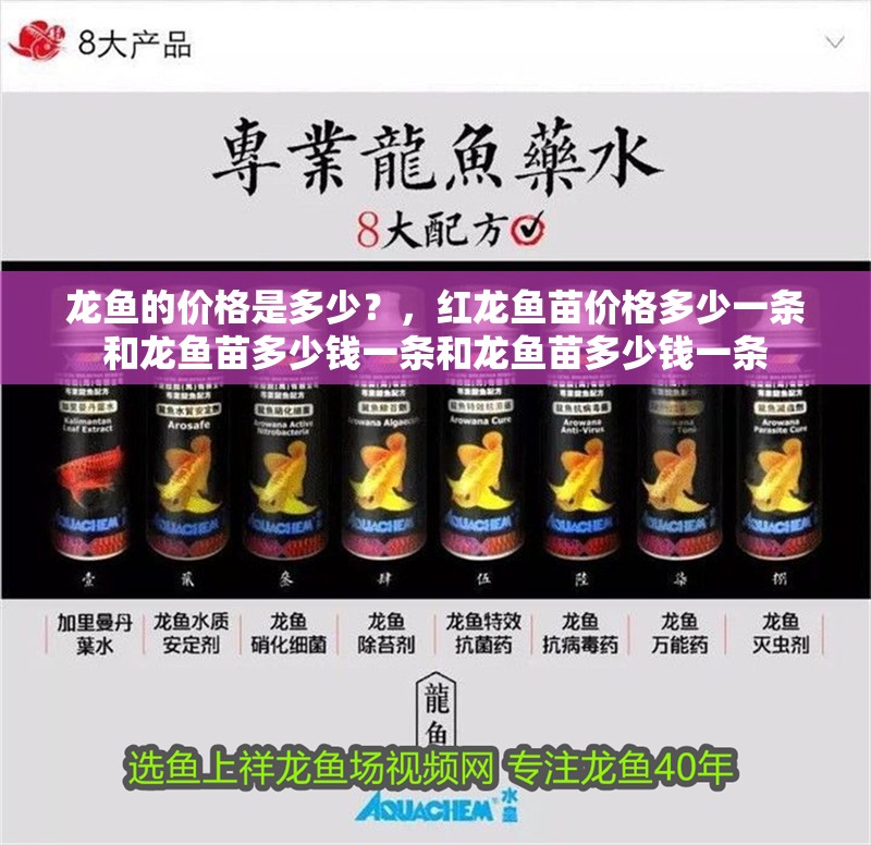 龍魚的價格是多少？，紅龍魚苗價格多少一條和龍魚苗多少錢一條和龍魚苗多少錢一條