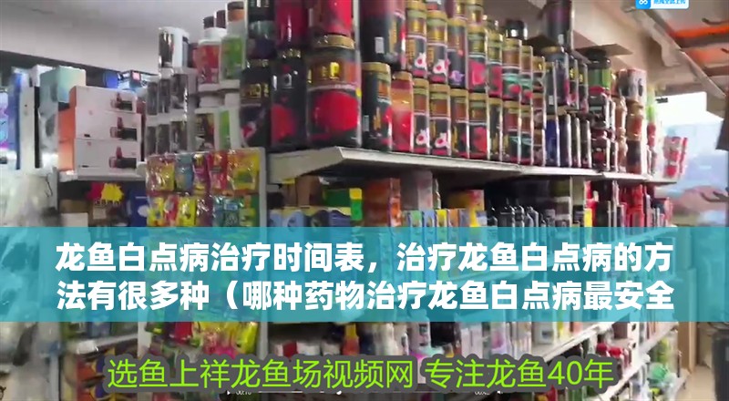 龍魚白點病治療時間表，治療龍魚白點病的方法有很多種（哪種藥物治療龍魚白點病最安全？）
