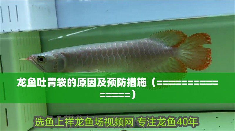 龍魚吐胃袋的原因及預防措施（===============）