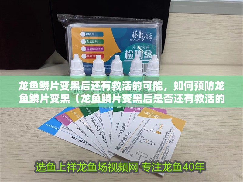 龍魚鱗片變黑后還有救活的可能，如何預防龍魚鱗片變黑（龍魚鱗片變黑后是否還有救活的可能，如何預防龍魚鱗片變黑）