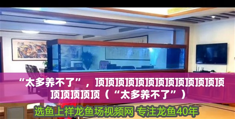 “太多養(yǎng)不了”，頂頂頂頂頂頂頂頂頂頂頂頂頂頂頂頂頂頂（“太多養(yǎng)不了”）