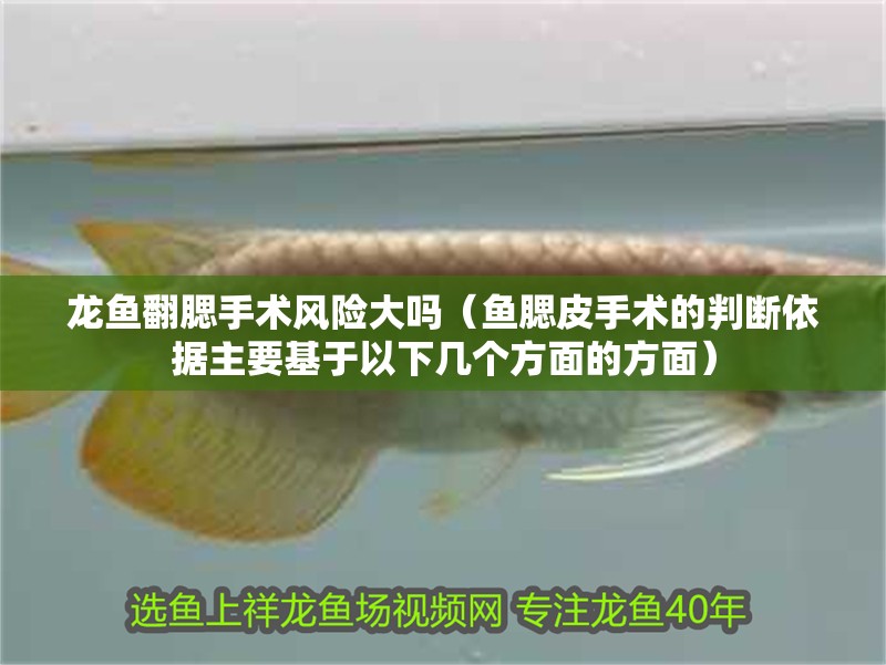 龍魚翻腮手術(shù)風(fēng)險大嗎（魚腮皮手術(shù)的判斷依據(jù)主要基于以下幾個方面的方面）