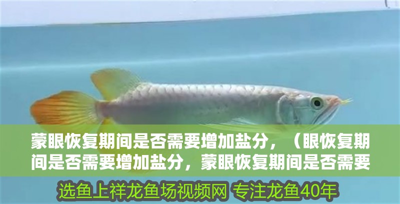 蒙眼恢復(fù)期間是否需要增加鹽分，（眼恢復(fù)期間是否需要增加鹽分，蒙眼恢復(fù)期間是否需要增加鹽分）