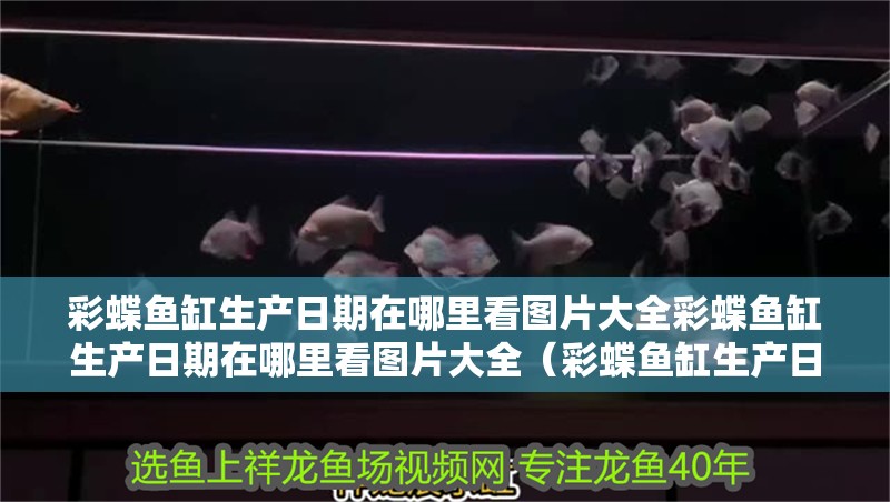 魚缸用增氧泵價格是多少:魚缸增氧機-xtrac增氧機-xtrac增氧機 彩蝶魚缸生產日期在哪里看圖片大全彩蝶魚缸生產日期在哪里看圖片大全(彩蝶魚缸生產日期在哪里看圖片大全) 觀賞魚百科 彩蝶魚缸生產日期在哪里看圖片大全彩蝶魚缸生產日期在哪里看圖片大全(彩蝶魚缸生產日期在哪里看圖片大全) 彩蝶魚缸生產日期在哪里看圖片大全彩蝶魚缸生產日期在哪里看圖片大全(彩蝶魚缸生產日期在哪里看圖片大全) 觀賞魚百科