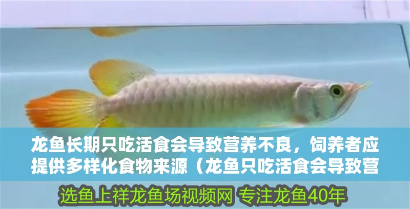 龍魚長期只吃活食會導致營養不良，飼養者應提供多樣化食物來源（龍魚只吃活食會導致營養不良嗎？） 龍魚長期只吃活食會導致營養不良，飼養者應提供多樣化食物來源（龍魚只吃活食會導致營養不良嗎？） 龍魚百科