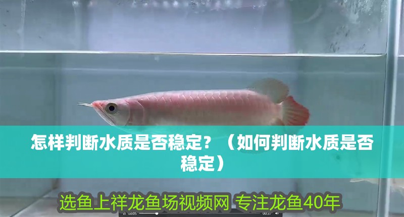 怎樣判斷水質是否穩定？（如何判斷水質是否穩定）