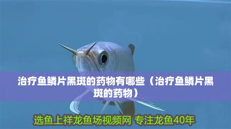 治療魚鱗片黑斑的藥物有哪些（治療魚鱗片黑斑的藥物）
