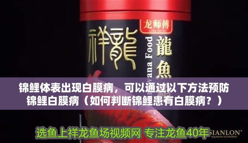 錦鯉體表出現白膜病，可以通過以下方法預防錦鯉白膜?。ㄈ绾闻袛噱\鯉患有白膜??？）