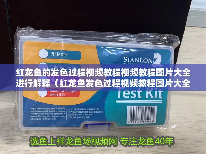 紅龍魚的發(fā)色過程視頻教程視頻教程圖片大全進行解釋（紅龍魚發(fā)色過程視頻教程圖片大全）