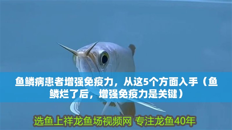 魚(yú)鱗病患者增強(qiáng)免疫力，從這5個(gè)方面入手（魚(yú)鱗爛了后，增強(qiáng)免疫力是關(guān)鍵）