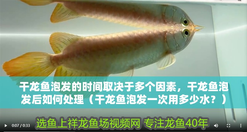 干龍魚泡發的時間取決于多個因素，干龍魚泡發后如何處理（干龍魚泡發一次用多少水？）