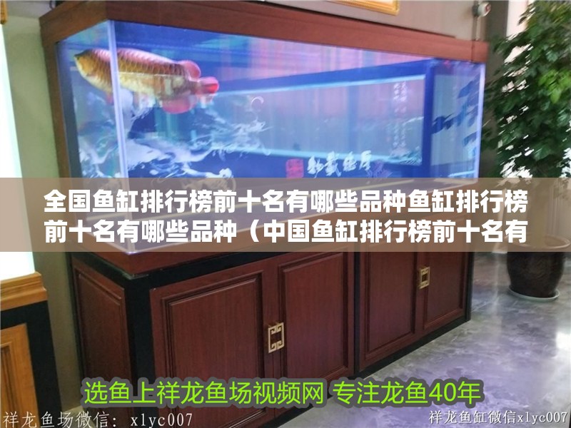 全國(guó)魚缸排行榜前十名有哪些品種魚缸排行榜前十名有哪些品種（中國(guó)魚缸排行榜前十名有哪些品種）
