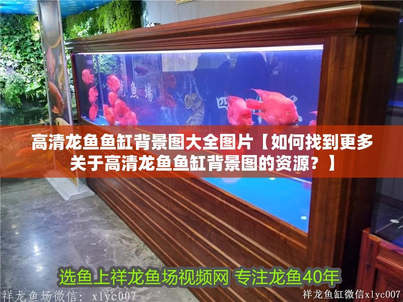 高清龍魚魚缸背景圖大全圖片【如何找到更多關于高清龍魚魚缸背景圖的資源？】