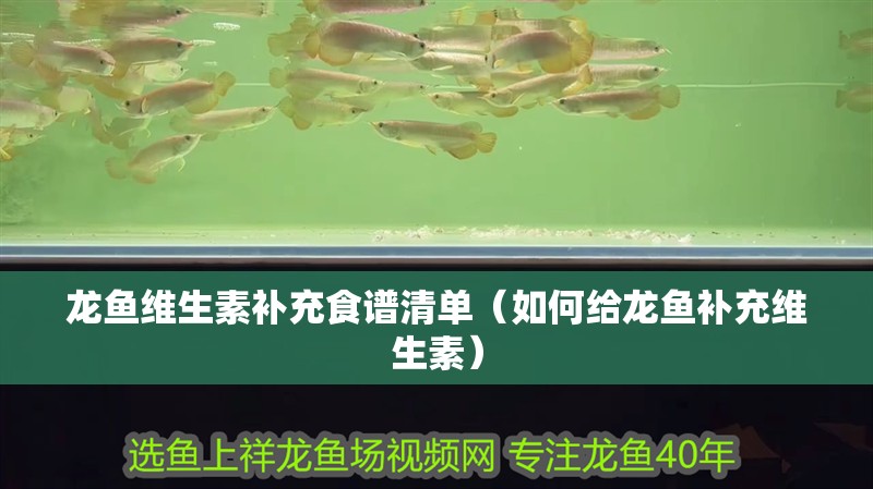龍魚維生素補充食譜清單（如何給龍魚補充維生素）