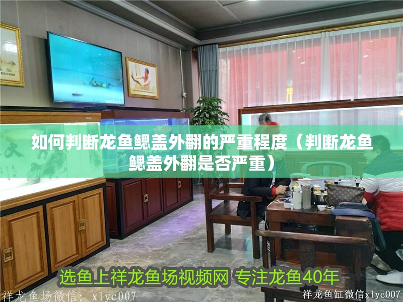 如何判斷龍魚鰓蓋外翻的嚴重程度（判斷龍魚鰓蓋外翻是否嚴重）