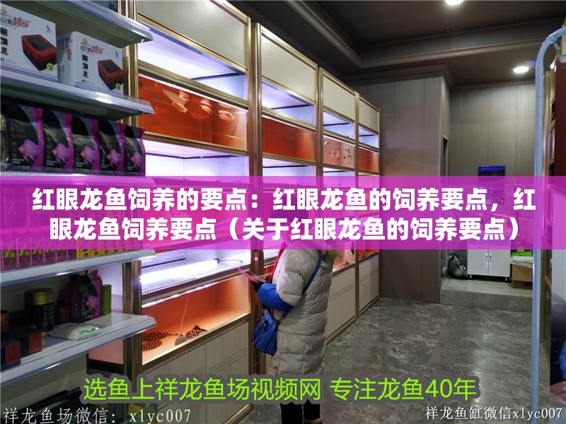 紅眼龍魚飼養的要點：紅眼龍魚的飼養要點，紅眼龍魚飼養要點（關于紅眼龍魚的飼養要點）