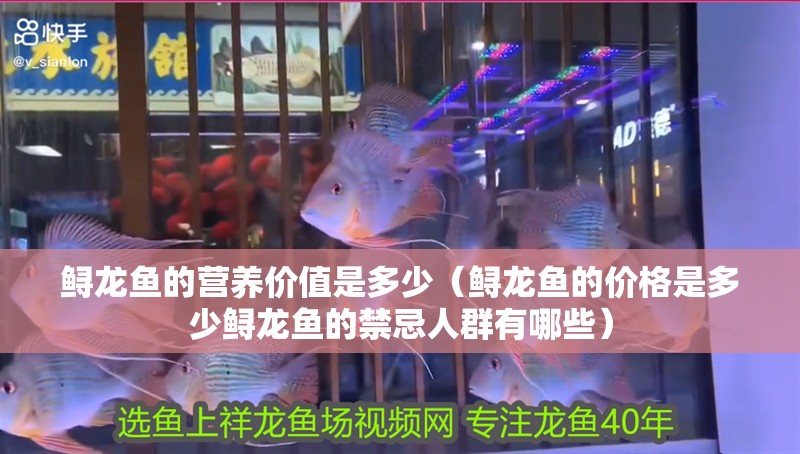 鱘龍魚的營養(yǎng)價值是多少（鱘龍魚的價格是多少鱘龍魚的禁忌人群有哪些）